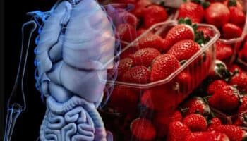 EU investiga brote de hepatitis A por fresas cultivadas en México