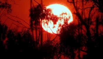 Temperaturas de noviembre convierten a 2023 en el año más cálido desde que hay registros