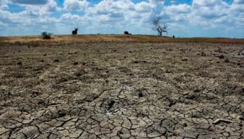 Sader estimulará lluvias en 10 regiones para combatir la sequía
