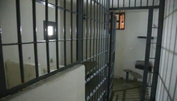 México, 'estancado' en atender recomendaciones contra detenciones arbitrarias: académico | Entérate