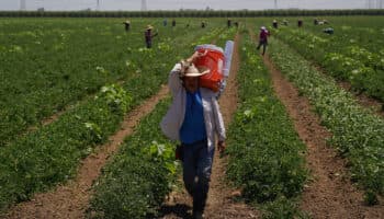 Ola de calor azota EU; advierten temperaturas 'peligrosas'