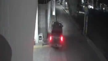 Buscan a conductor que atropelló a tres perritos en Puebla; uno murió | Imágenes fuertes