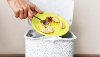 Estas son 5 acciones que puedes implementar en casa para contribuir a un planeta sustentable