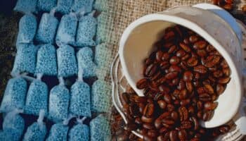 Aseguran fentanilo escondido en bolsas de café en Baja California