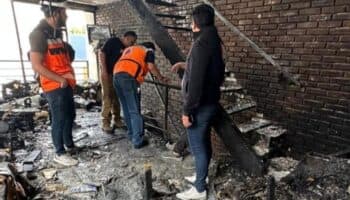 Videos y fotos | Incendio en departamento deja 6 perritos muertos de la colonia Nápoles
