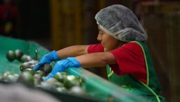 Informalidad laboral creció a 55.2% en junio: Inegi