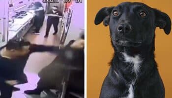 Agresor de menor en Subway presuntamente también 'molió a golpes' a perro