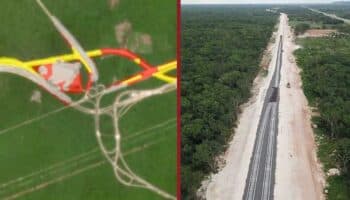 Tren Maya | Deforestación en 6,659 hectáreas, 87% sin permiso: CartoCrítica