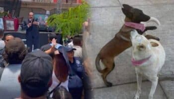 Videos | Gritan 'asesino' al alcalde que mató a Buba y Canela en Michoacán