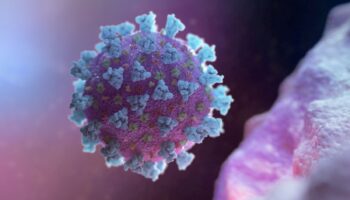 Casos de covid globales aumentan un 80 % este verano, debido a contagios en Corea del Sur