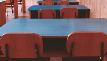 Chile: Detienen a profesor por dar hojas de coca a sus alumnos de 12 años