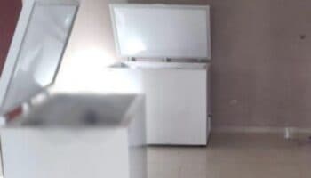 Restos hallados en Poza Rica pertenecen al menos a 13 personas: Fiscalía | Video