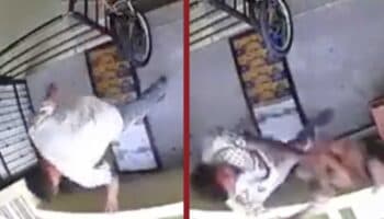 Golpean y avientan a perrito desde tercer piso en Puebla