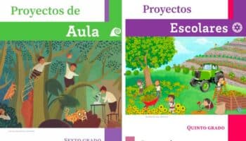 Cuatro razones de académicos contra los nuevos libros de texto