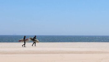 NY: Cierra una de sus playas más icónicas por el ataque de un tiburón