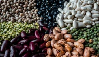 Leguminosas ayudan a disminuir glucosa y colesterol en sangre: UNAM | Video