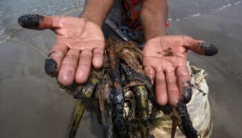 Pescar entre el petróleo: derrames de Pemex en el río Pánuco