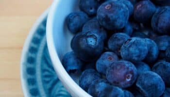 ¿Cuáles son los beneficios de comer arándanos?