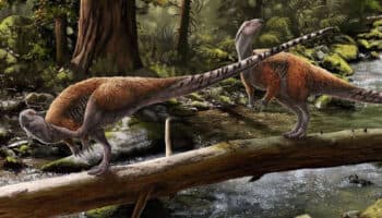 Descubren nueva especie de dinosaurio propia de Europa