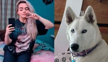 Desaparece Guadalupe Estefanny al salir a pasear a su husky en Toluca