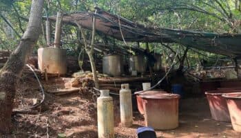 Asegura SEDENA laboratorio clandestino en Rosamorada, Nayarit