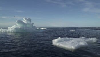 Foro Económico Mundial presenta el Informe sobre Riesgos Globales 2024