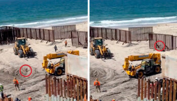 ¿American dog? Perrito cruza con éxito frontera con EU | Video