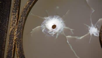 Si cárteles siguen creciendo al ritmo actual, 'en cinco años estamos perdidos': investigador | Entérate