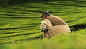 Estas serán las prioridades de la SADER bajo la guía de Julio Berdegué en el gobierno de Sheinbaum
