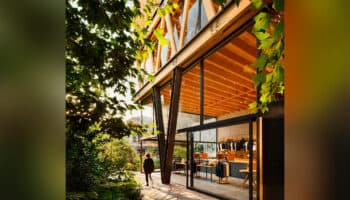 ¿Cuáles son los beneficios al medio ambiente de construir inmuebles de madera? Expertos lo explican | Video