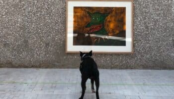 ¡Lleva a tu perro! El Museo Tamayo abre una exposición para canes