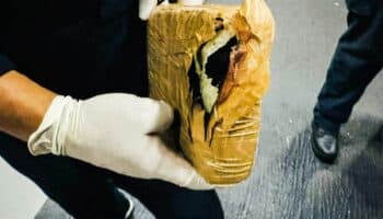 Cárteles esconden droga en agua de coco, artesanías y mucho más para mandarla a Australia | Entérate