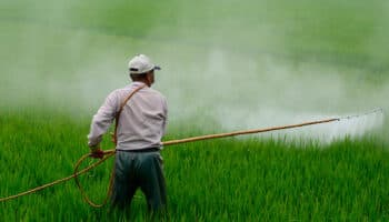 Agroindustria pretende importar glifosato a gran escala sin ningún control: Julia Álvarez Icaza | Entérate