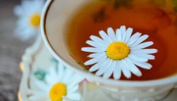 ¿Para qué sirve la manzanilla?