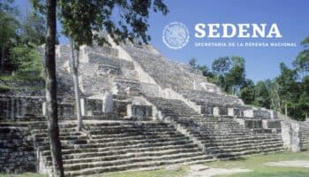 Solo un hotel construido por Sedena presentó manifestación de impacto ambiental a Semarnat: MMCI | Video