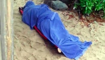 Tiburón muerde y mata a turista canadiense en Zihuatanejo, Guerrero