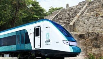 Tramo 5 del Tren Maya viola derecho ambiental y derechos humanos: Greenpeace | Video