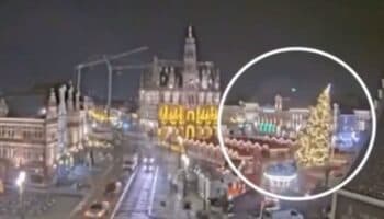 Videos | Árbol de navidad gigante se desploma y mata a mujer en Bélgica