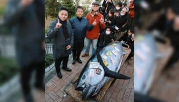 Pagan 787 mil dólares por un atún en Japón, ¿Por qué?