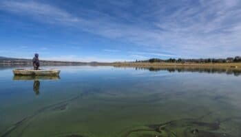 Reduce suministro de agua del Sistema Cutzamala; Batres pide priorizar consumo humano