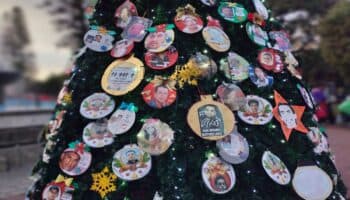 Investigadores de la UDG rechazan el censo de desapariciones de AMLO