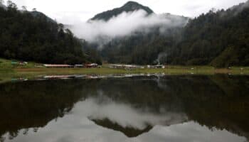 Jóvenes están conscientes del tema ambiental y tienen angustia; Bohórquez | Entérate