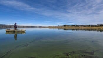 Agua y cambio climático: necesitamos soluciones integrales | Artículo de Marisa Mazari Hiriart y Francisco Estrada Porrúa