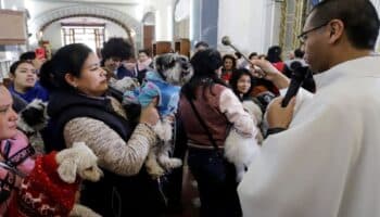 Mascotas reciben la bendición de San Antonio Abad para tener muchos años de vida