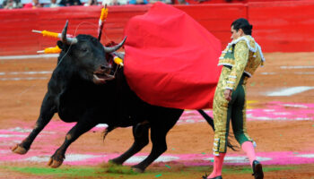 Corridas de toros llegan a Jalisco durante posible suspensión en Plaza México
