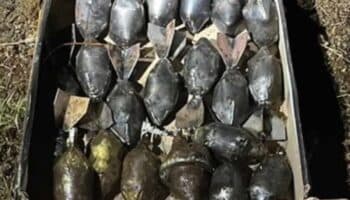 Aseguran en Michoacán bombas caseras usadas en drones