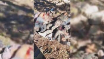 Fiscalía de Guerrero encuentra cinco cuerpos calcinados en lugar donde hubo conflicto armado