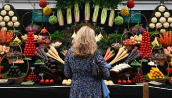 ¿Qué son los 'químicos eternos' que contaminan las frutas y verduras?