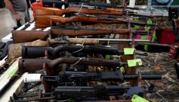 Ejército confiscó 28,159 armas con AMLO, pero ingresan 200,000 al año