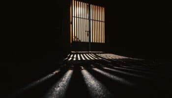 Muertes en Cefereso 16 implican responsabilidad del Estado: IFDP